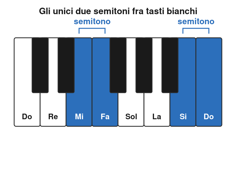 Ottava di pianoforte con i semitoni Mi-Fa e Si-Do evidenziati fra tasti bianchi
